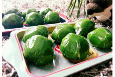 清明時節吃什么美食？全國各地18種清明美食大集合（多圖）